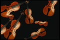 278080 Violins A4 Photo Print