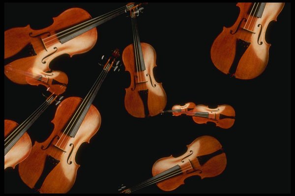 278080 Violins A4 Photo Print