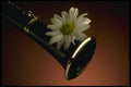 278081 Clarinet A4 Photo Print