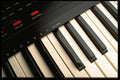 278091 Synthesizer Keys A4 Photo Print