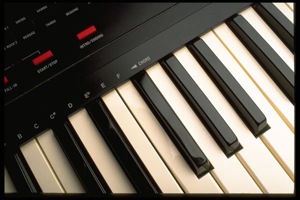 278091 Synthesizer Keys A4 Photo Print