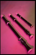 278093 Recorders A4 Photo Print