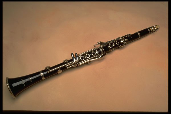 278096 Clarinet A4 Photo Print