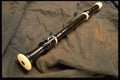 278099 Recorder A4 Photo Print