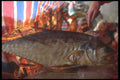 279004 Dried Fish Market, Lantau Island A4 Photo Print