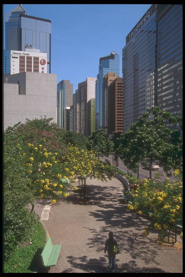 279028 Spring Like Walk Downtown A4 Photo Print