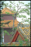 279039 Temple Roof Tops A4 Photo Print