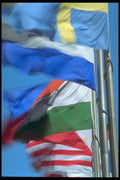 279043 International Flags A4 Photo Print