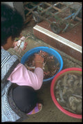 279058 Fresh Crab And Shrimp Vendor A4 Photo Print