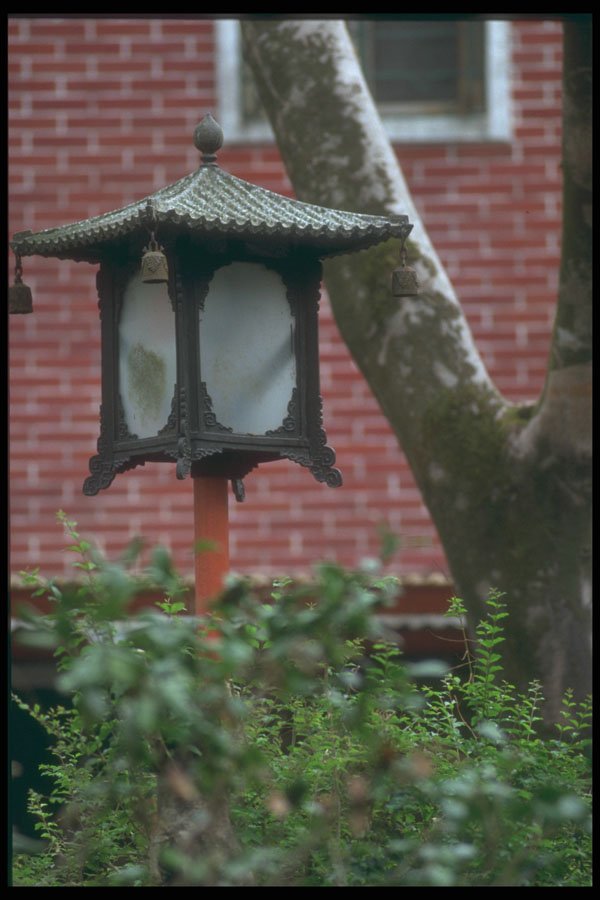 279069 Detail, Outside Chinese Lantern A4 Photo Print