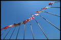 279072 New World Harbour, View Of International Flags A4 Photo Print