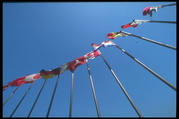279072 New World Harbour, View Of International Flags A4 Photo Print