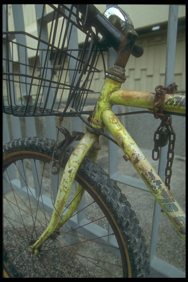 279074 Street Bicycle A4 Photo Print