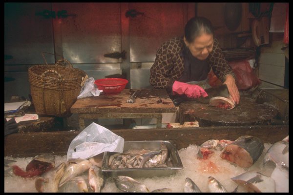 279080 Fish Market Lady A4 Photo Print