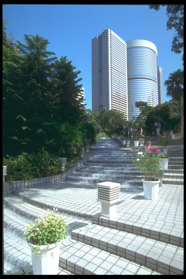 279094 Hong Kong Park A4 Photo Print
