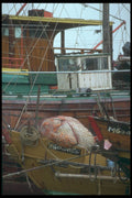 279097 Fishing Boats A4 Photo Print