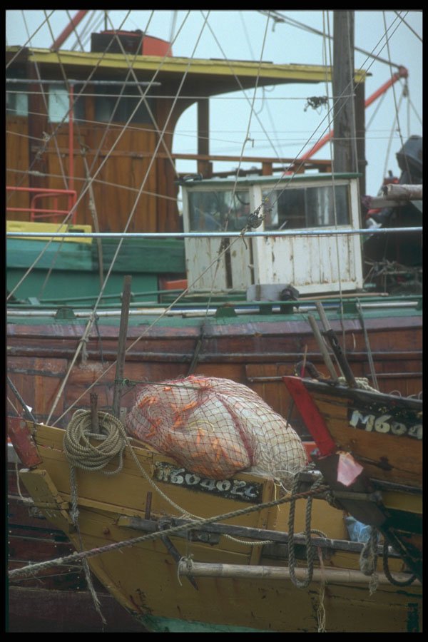 279097 Fishing Boats A4 Photo Print