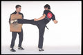 280026 Roundhouse Kick applied  A4 Photo Print