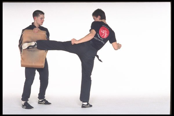 280026 Roundhouse Kick applied  A4 Photo Print