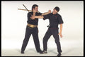 280076 Shield With Chung Choie A4 Photo Print