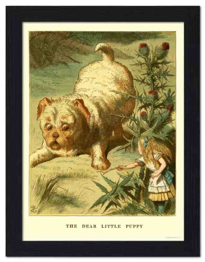 2808 alice in wonderland dear little puppy 2 Vintage Advert A4 Photo Print