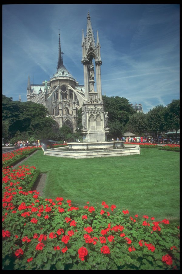 281025 Rear View Of The Notre Dame Cathedral A4 Photo Print