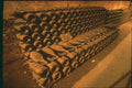 281057 Champagne Estates A4 Photo Print