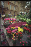 281080 Flower Market In The Place Rigueime A4 Photo Print