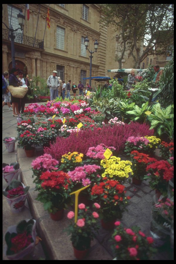 281080 Flower Market In The Place Rigueime A4 Photo Print