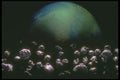 283011 Rock Debris Around Earth A4 Photo Print