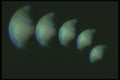 283016 Earth A4 Photo Print