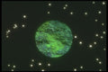 283017 Planet A4 Photo Print