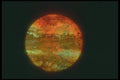 283075 Planet A4 Photo Print