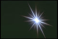 283077 Star A4 Photo Print