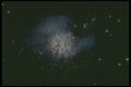 283083 Galaxy A4 Photo Print