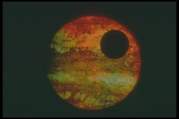 283088 Planet And Moon A4 Photo Print