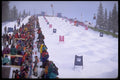 284059 Mogul Skiing A4 Photo Print