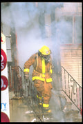 285019 Bailout A4 Photo Print