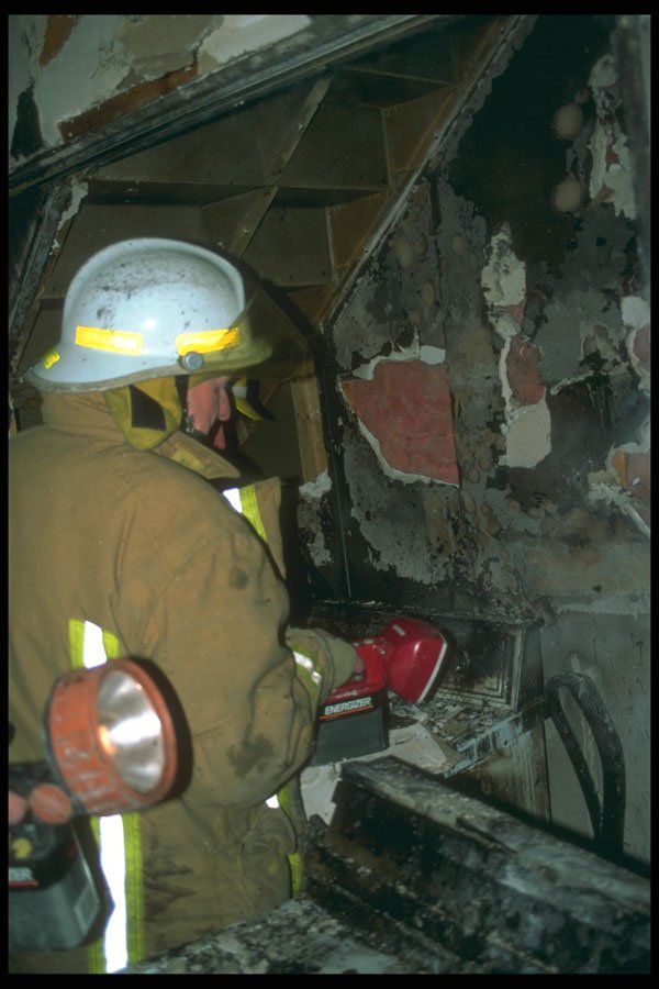 285049 Looking For A Cause A4 Photo Print