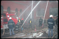 285062 Spaghetti A4 Photo Print