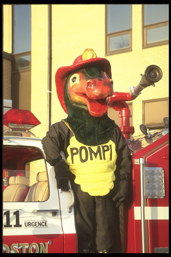 285081 Pompi The Mascot A4 Photo Print
