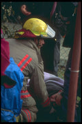 285092 Gentle Care A4 Photo Print