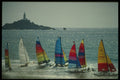 286000 Hoby Cats, St. Ouen's Bay A4 Photo Print