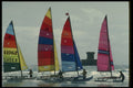 286001 Hoby Cats, St. Ouen's Bay A4 Photo Print