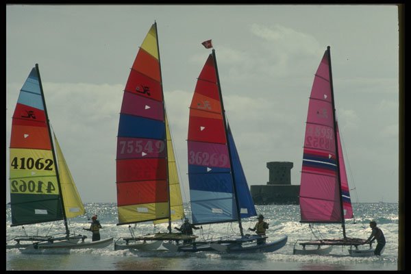 286001 Hoby Cats, St. Ouen's Bay A4 Photo Print