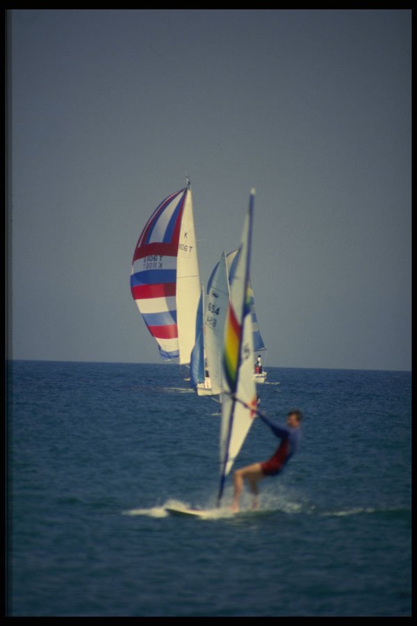 286005 Windsurfer A4 Photo Print