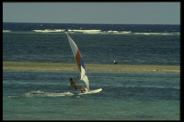 286012 Windsurfer A4 Photo Print