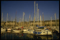 286013 St. Helier Harbor A4 Photo Print
