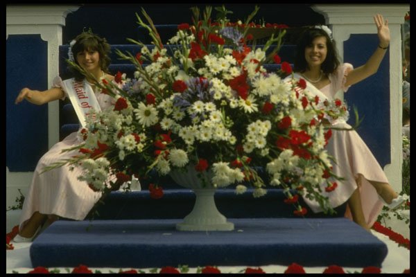 286014 Jersey Battle Of The Flowers A4 Photo Print