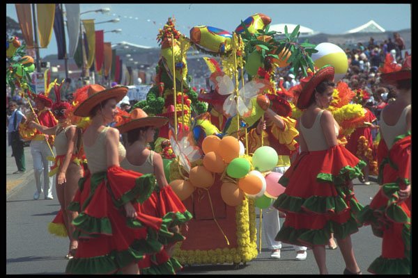 286016 Jersey Battle Of The Flowers A4 Photo Print